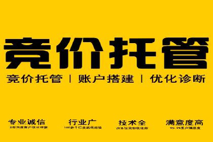 百度竞价广告策略分析及实战案例